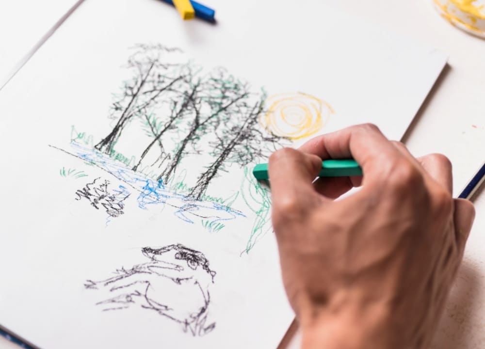 Desenhando Paisagens Sem Dom - Curso de Desenho Online