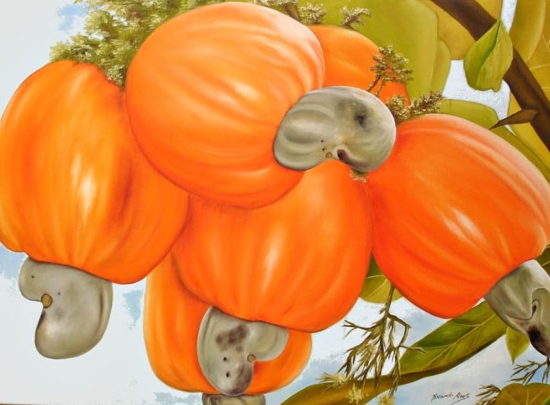 Curso de Desenho e Pintura - Comunidade Fonte De Arte - Ricardo Alves